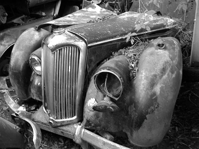 Autofriedhof - 178.JPG - Historischer Autofriedhof,    Gürbetal (CH)